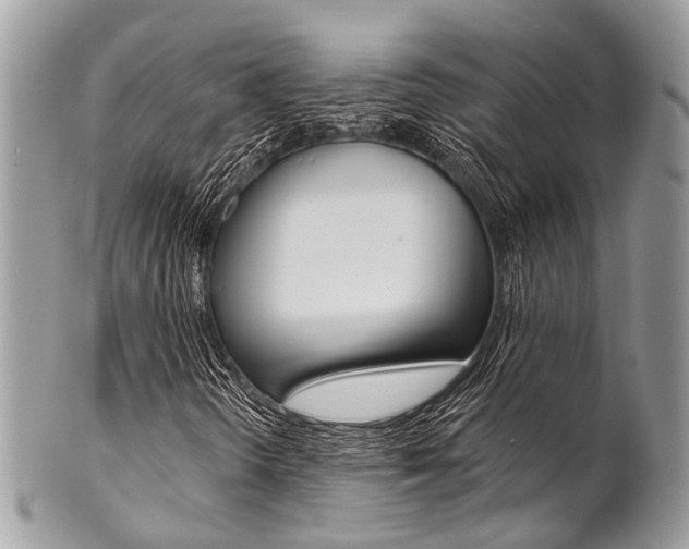 X0000102851298200808181038