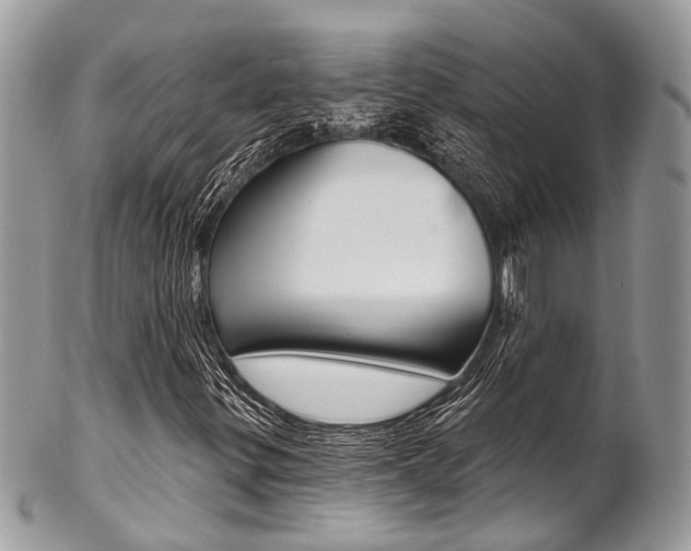 X0000102851299200808181038