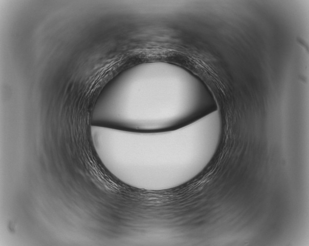 X0000102851300200808181038
