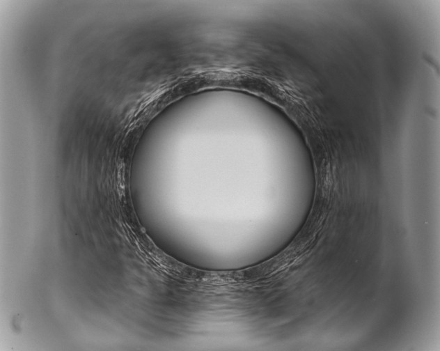 X0000102851301200808181038