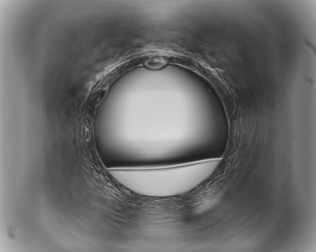 X0000102851303200808181038