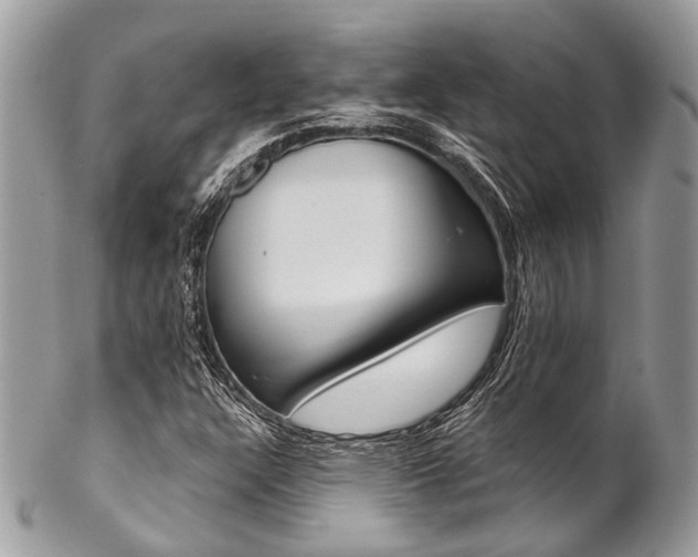X0000102851304200808181038