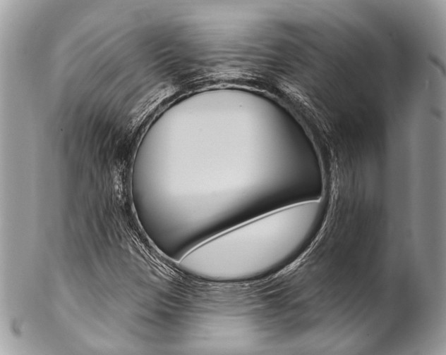 X0000102851305200808181038