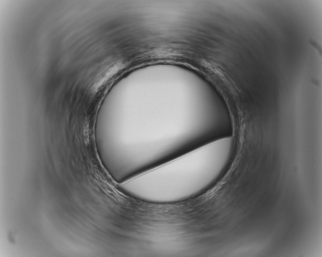 X0000102851306200808181038