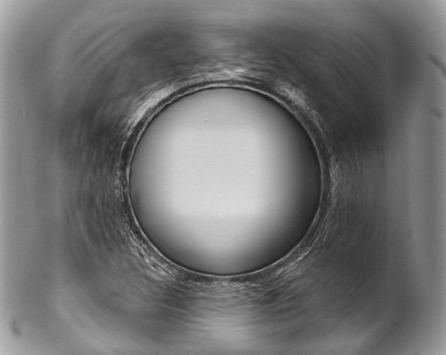 X0000102851308200808181038
