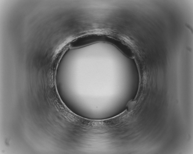X0000102851310200808181038