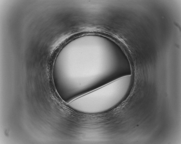 X0000102851311200808181038