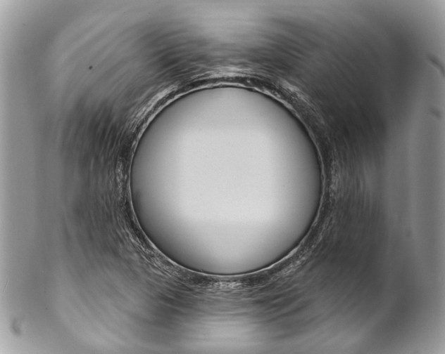 X0000102851313200808181038
