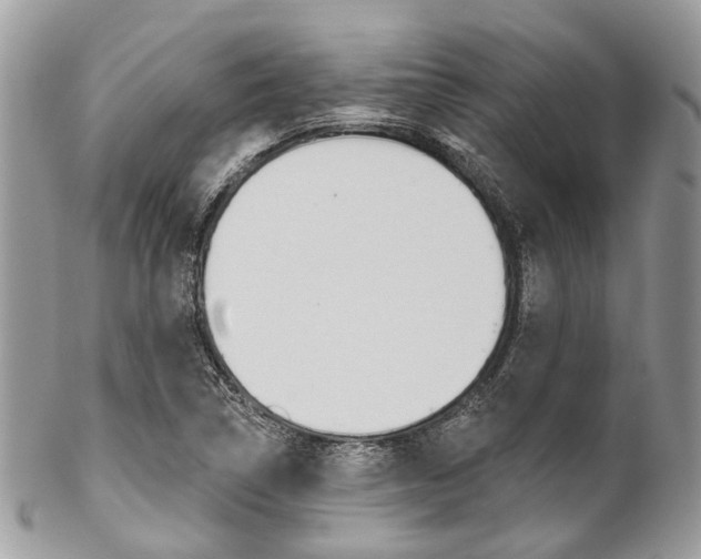 X0000102851314200808181038