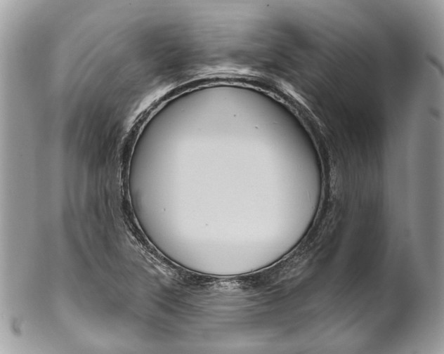 X0000102851315200808181038