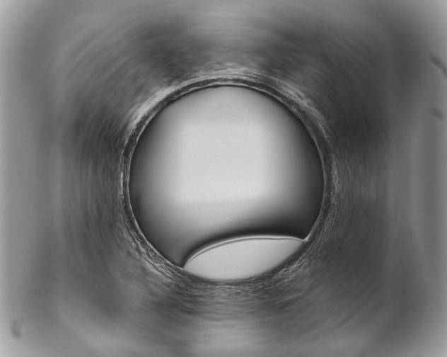 X0000102851316200808181038
