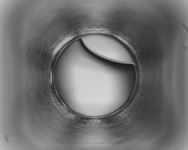 X0000102851317200808181038