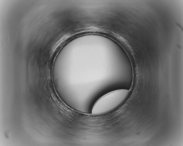 X0000102851318200808181038