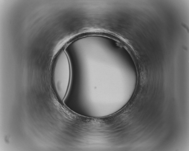 X0000102851319200808181038