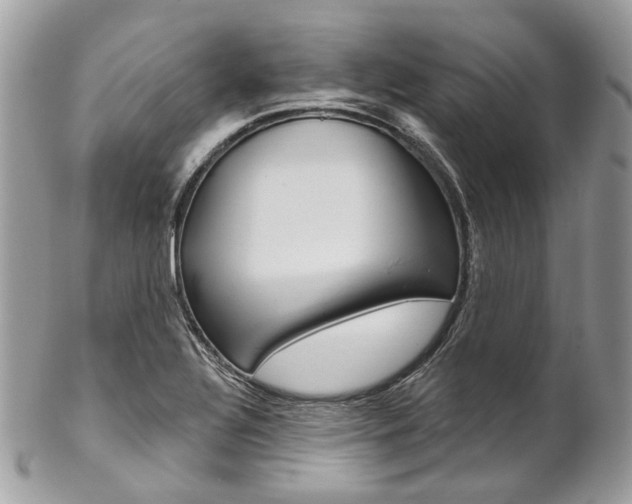 X0000102851320200808181038