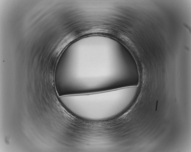 X0000102851321200808181038