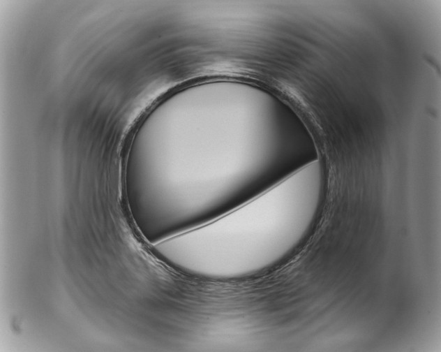 X0000102851323200808181038