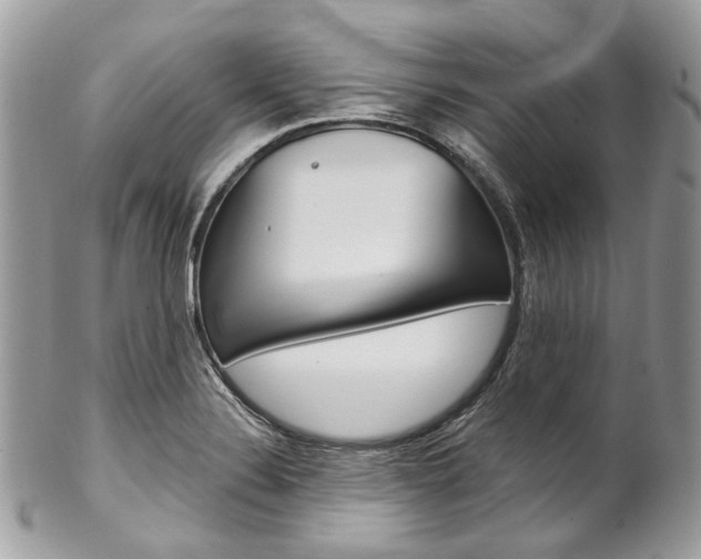 X0000102851324200808181038