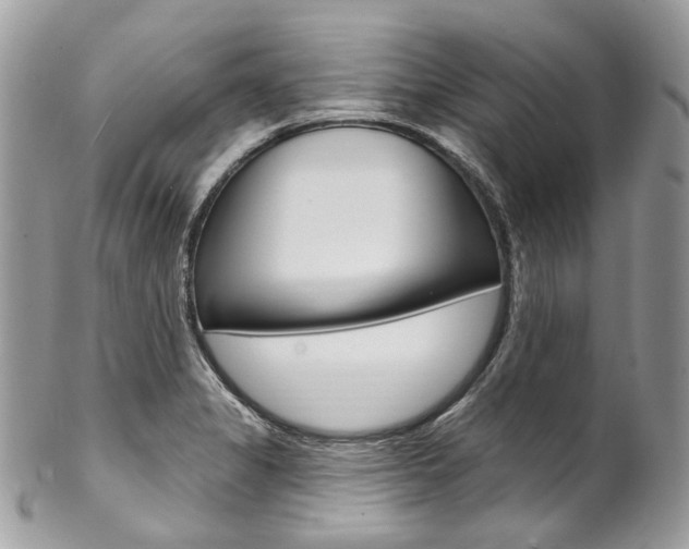 X0000102851325200808181038