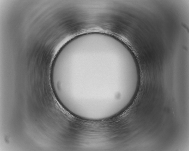 X0000102851326200808181038
