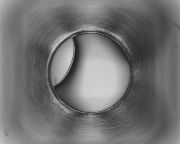X0000102851327200808181038
