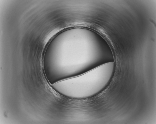 X0000102851328200808181038