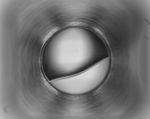 X0000102851330200808181038