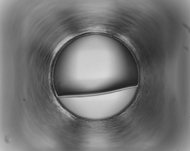 X0000102851331200808181038