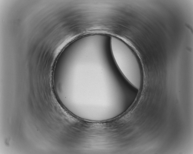 X0000102851333200808181038