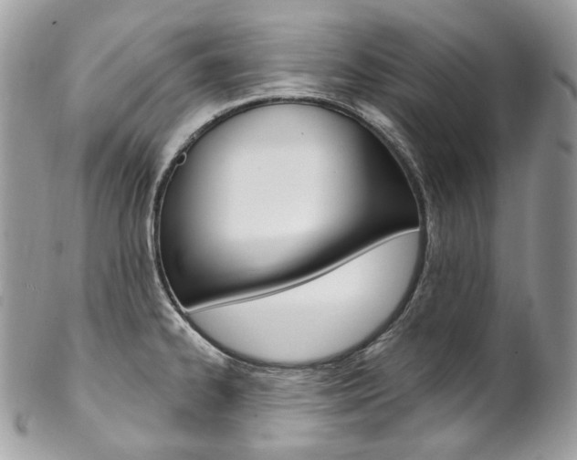 X0000102851334200808181038