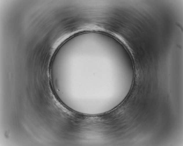 X0000102851335200808181038