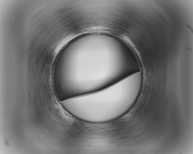 X0000102851336200808181038