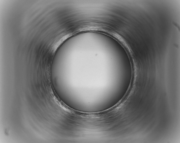 X0000102851337200808181038