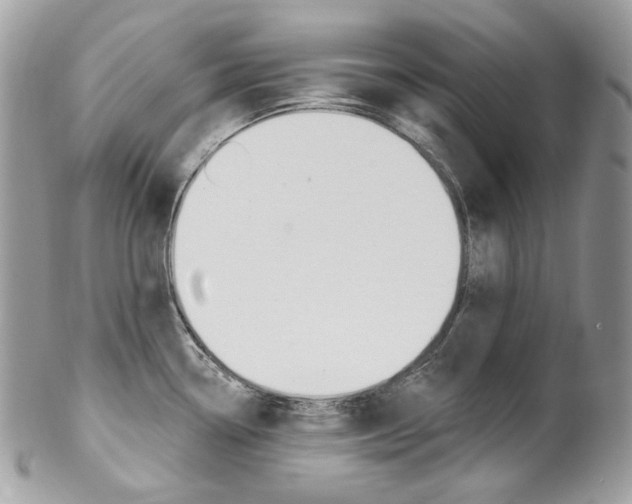 X0000102851338200808181038