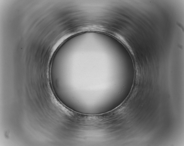 X0000102851339200808181039
