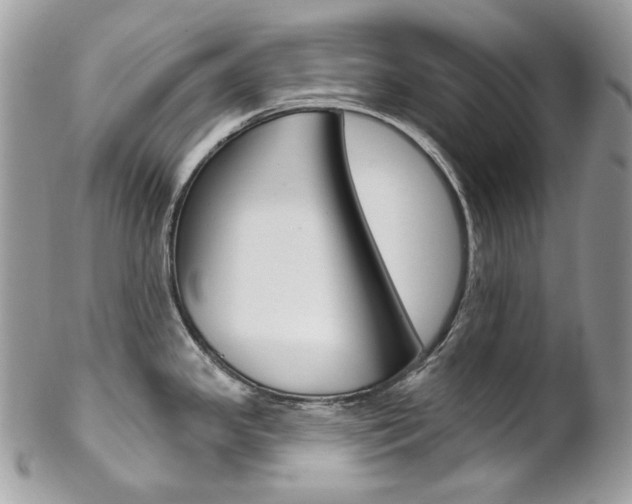 X0000102851341200808181039
