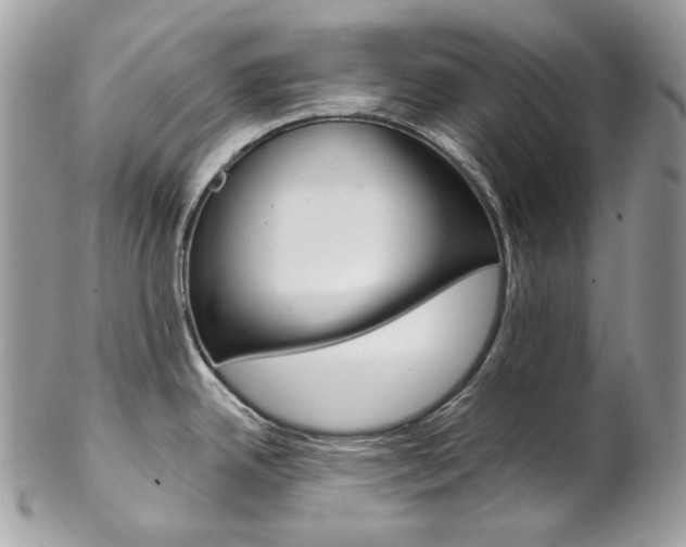 X0000102851342200808181039