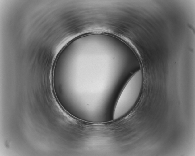 X0000102851343200808181039