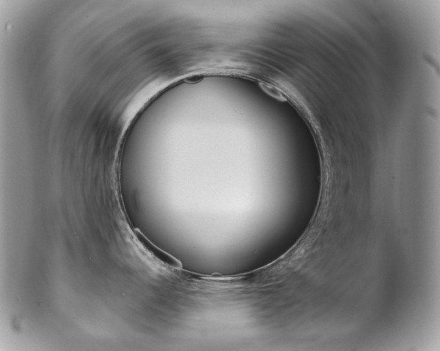 X0000102851344200808181039