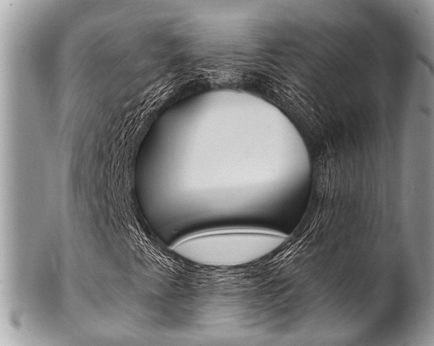 X0000102851345200808181038