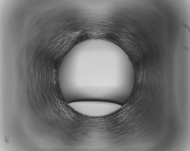X0000102851346200808181038