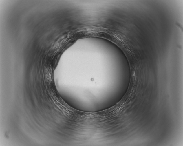 X0000102851348200808181038