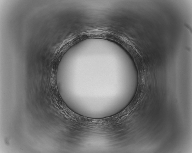 X0000102851350200808181038
