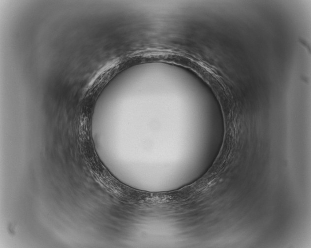 X0000102851351200808181038
