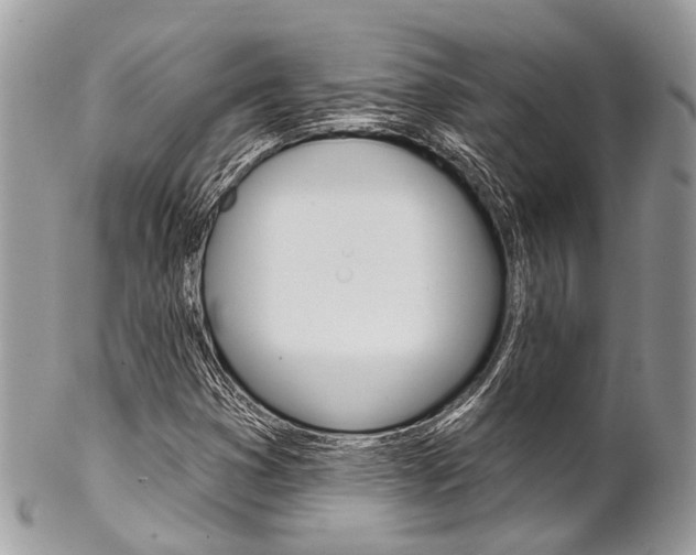 X0000102851353200808181038