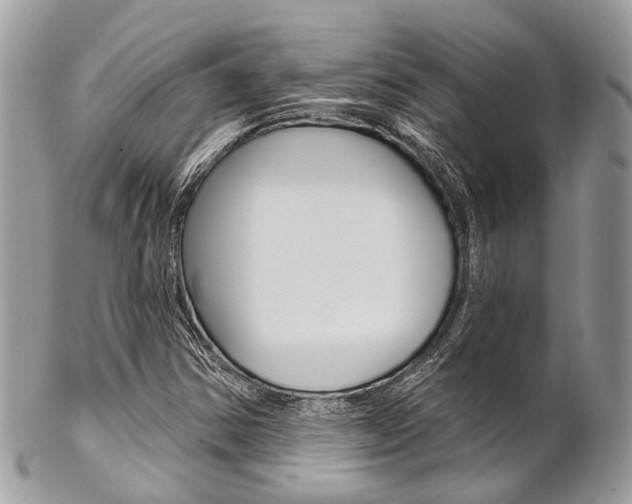 X0000102851354200808181038