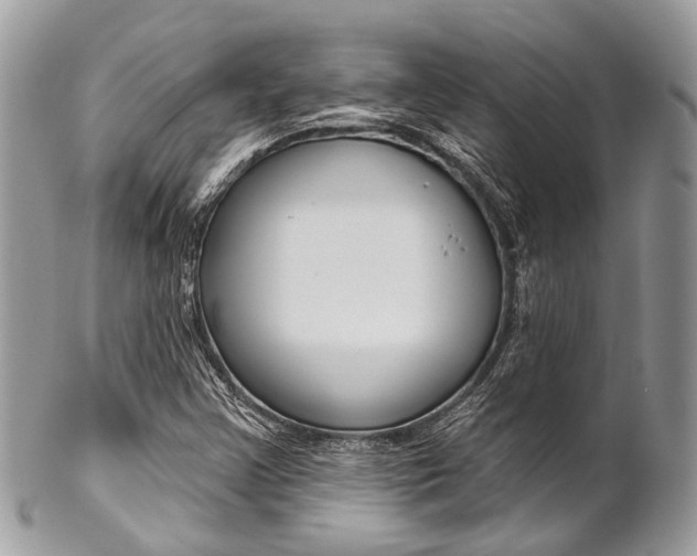 X0000102851355200808181038