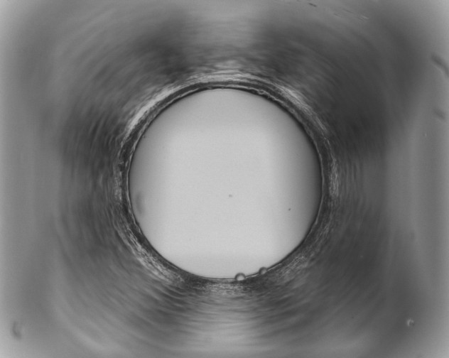 X0000102851356200808181038
