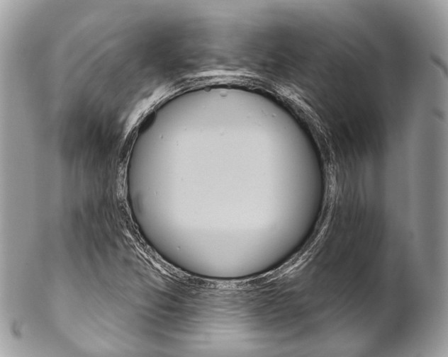 X0000102851357200808181038