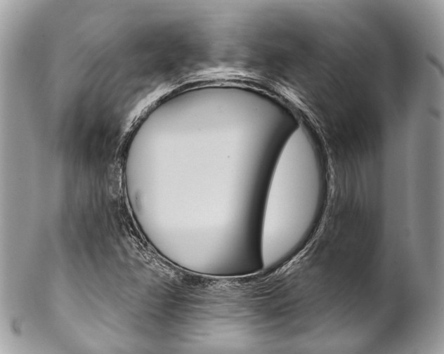 X0000102851358200808181038